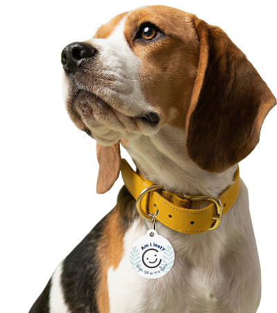 People & Pet tags